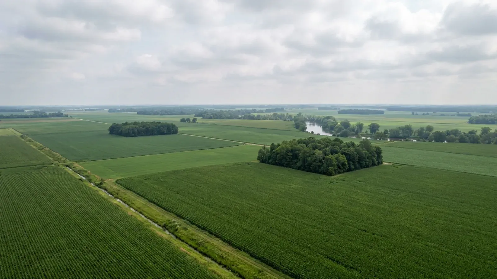 Flat mid-Michigan farmland with large corn and soybean fields, a drainage ditch and square hardwood woodlots under a big sky.